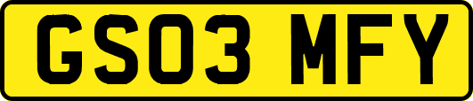 GS03MFY