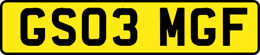 GS03MGF
