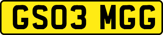 GS03MGG