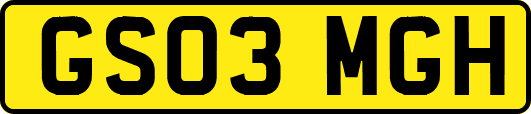 GS03MGH