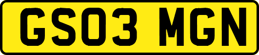 GS03MGN