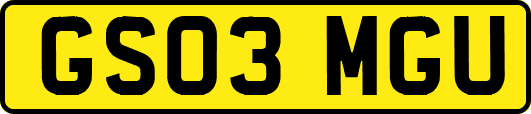 GS03MGU