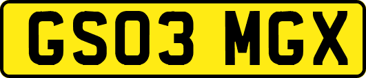 GS03MGX