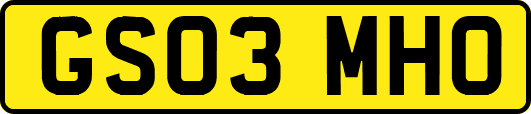 GS03MHO
