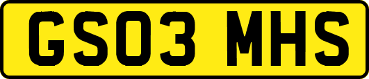 GS03MHS