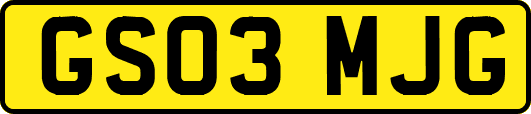 GS03MJG
