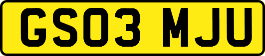 GS03MJU