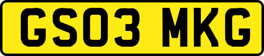 GS03MKG