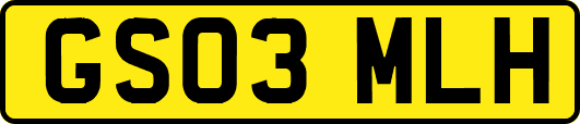 GS03MLH