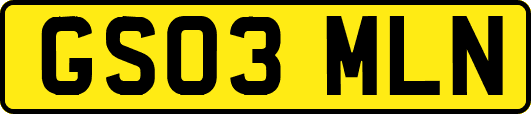 GS03MLN