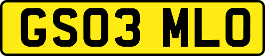 GS03MLO