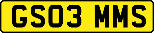 GS03MMS