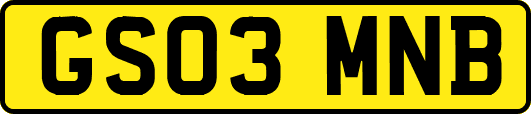 GS03MNB
