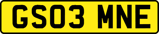 GS03MNE