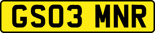 GS03MNR