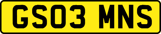 GS03MNS