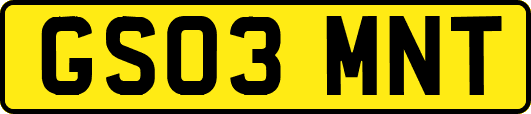 GS03MNT