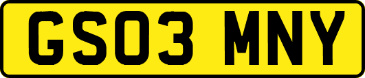 GS03MNY