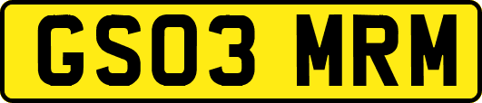GS03MRM
