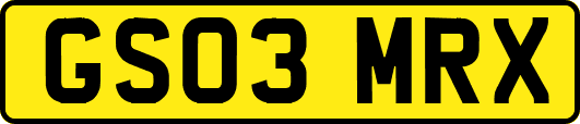 GS03MRX