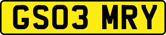 GS03MRY