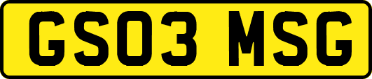 GS03MSG