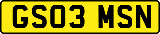 GS03MSN