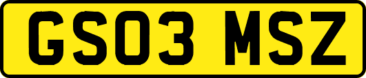 GS03MSZ