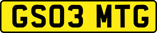 GS03MTG