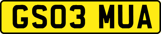 GS03MUA