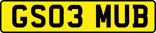 GS03MUB