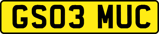 GS03MUC