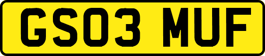 GS03MUF