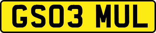 GS03MUL