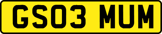 GS03MUM