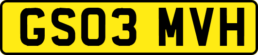 GS03MVH