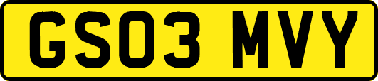 GS03MVY