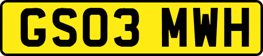 GS03MWH