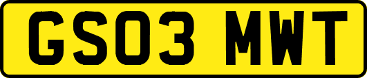 GS03MWT