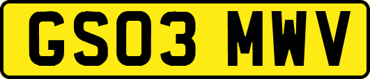 GS03MWV