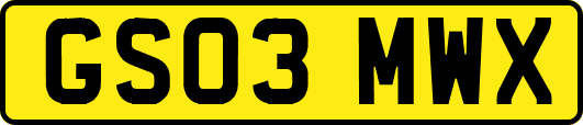 GS03MWX