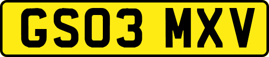 GS03MXV