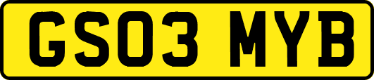 GS03MYB