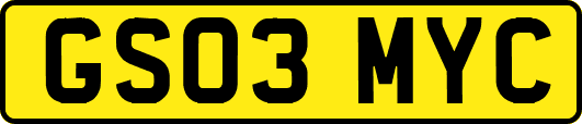 GS03MYC