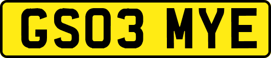 GS03MYE