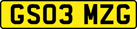 GS03MZG