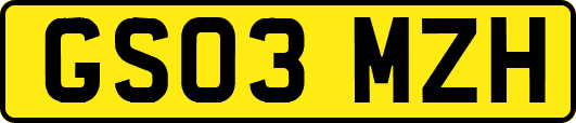 GS03MZH