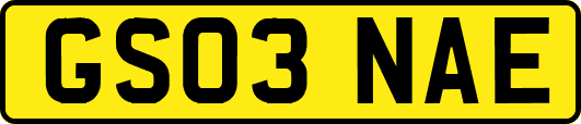 GS03NAE
