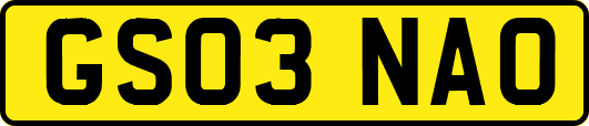 GS03NAO