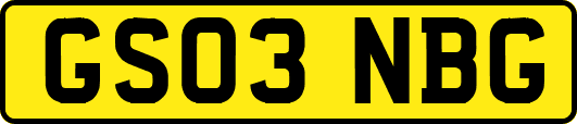 GS03NBG